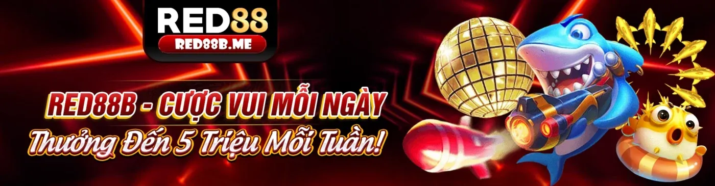Hình ảnh nền các quy tắc trò chơi tại fun8 link vào