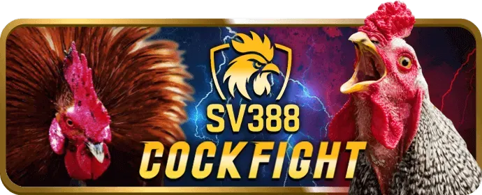 Bảo mật Fun8