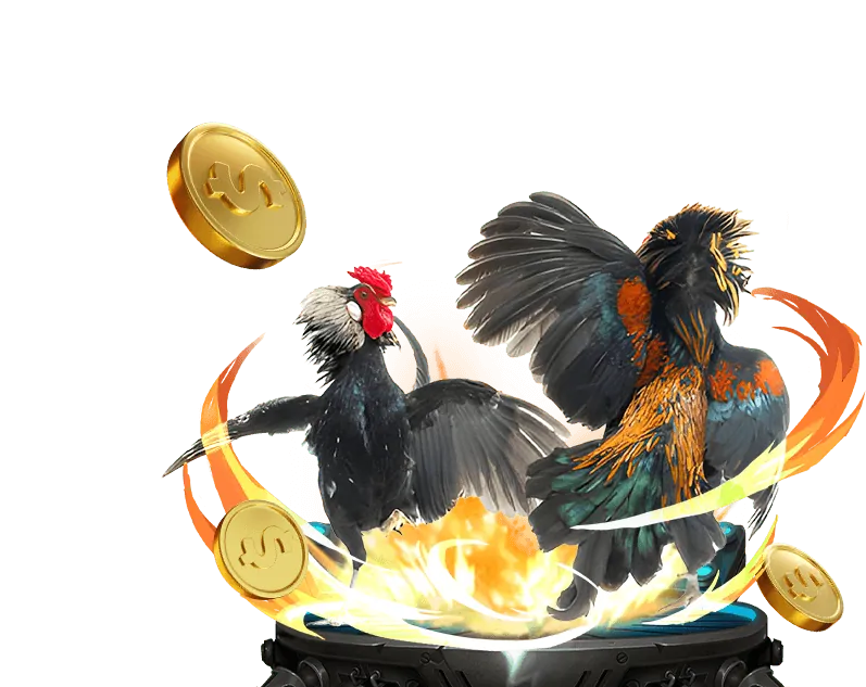 Lịch sử phát triển fun8